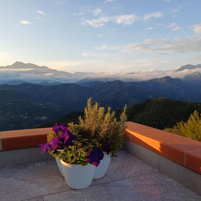 La Dimora Azzurra Villa Perinaldo Екстериор снимка